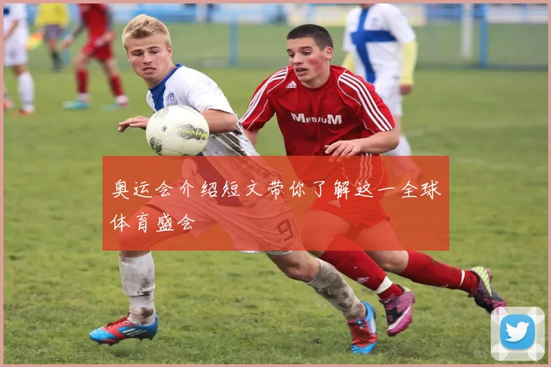 奥运会介绍短文带你了解这一全球体育盛会